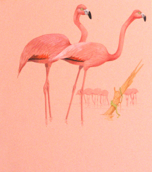 Pink Flamingos (Original) by Kenneth Lilly Art at The Illustration Art Gallery