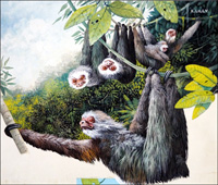 Hanging Around - The Sloth (Original) (Signed)