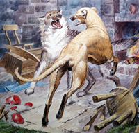 Brave Galert (Original)