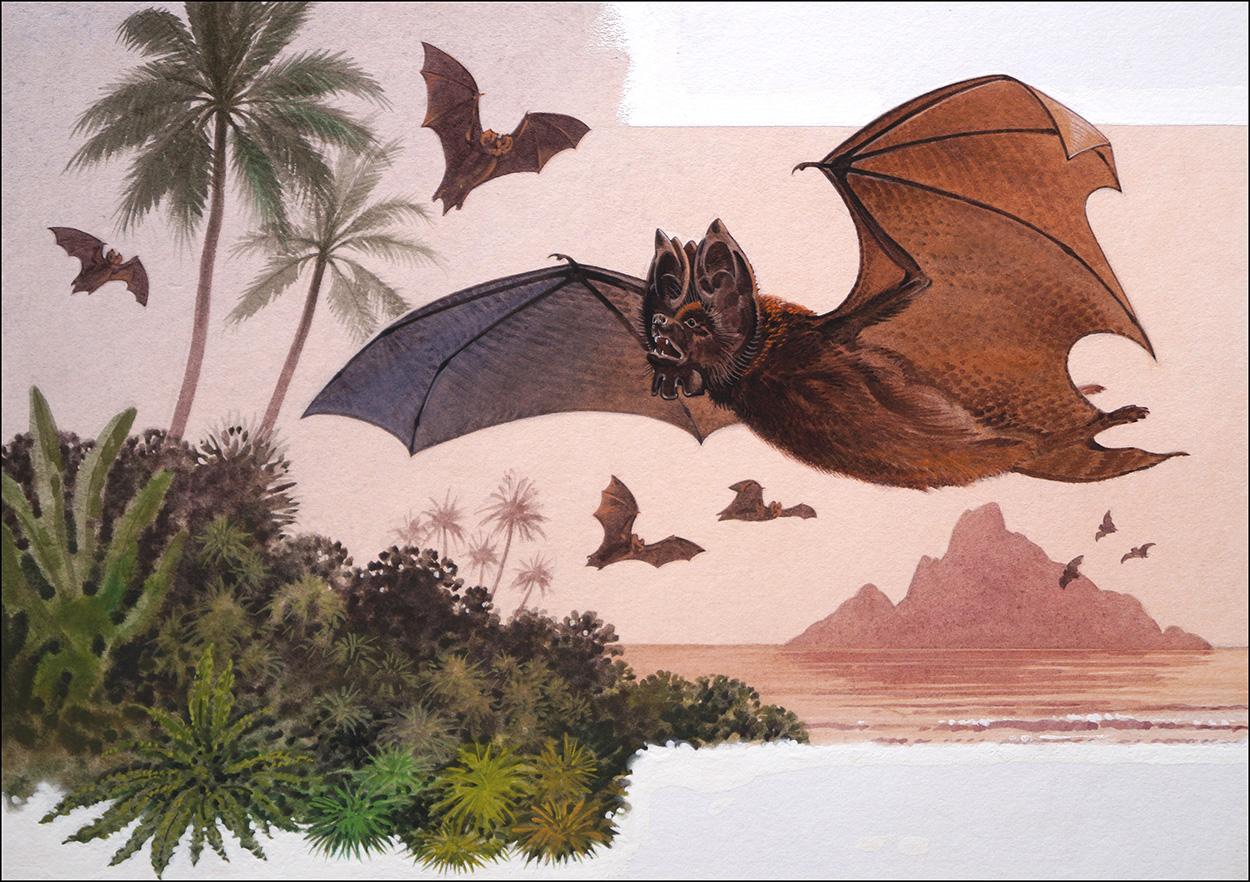 Flower Faced Bat (Original) art by Bernard Long Art at The Illustration Art Gallery
