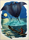 Manta Ray (Original)