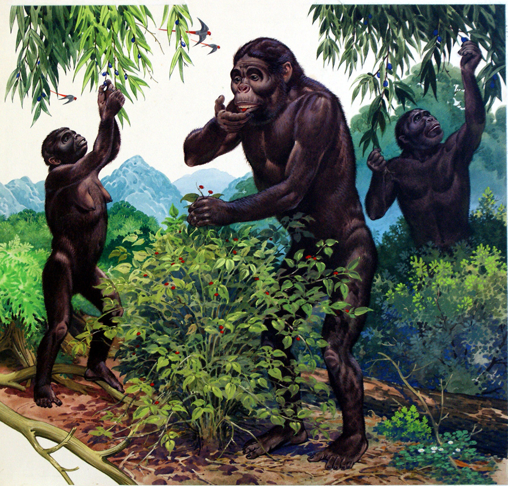 Primates Eating Berries (Original) art by Bernard Long Art at The Illustration Art Gallery