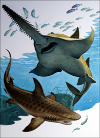 Sawfish and Tiger Shark (Original)