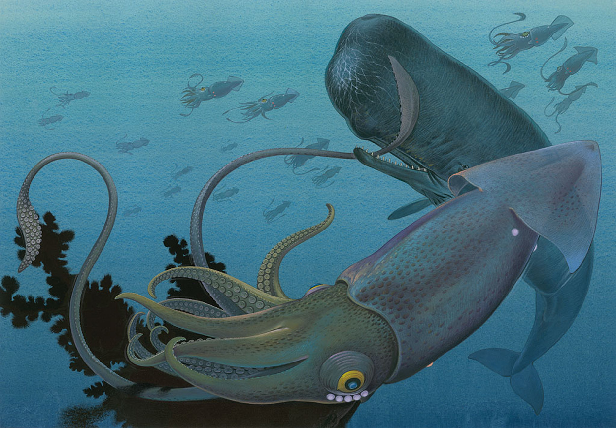 Sperm Whale and Giant Squid (Original) art by Bernard Long Art at The Illustration Art Gallery