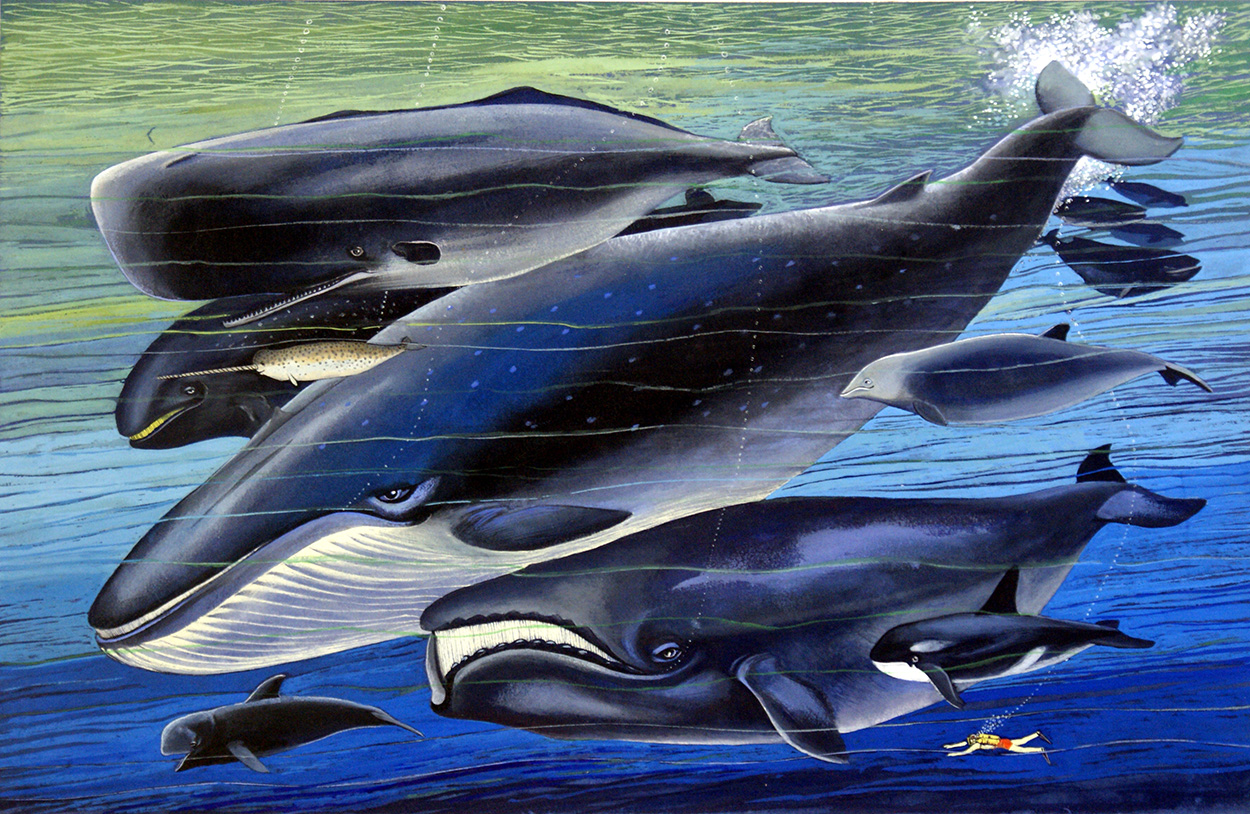 The Whale Family (Original) art by Bernard Long Art at The Illustration Art Gallery