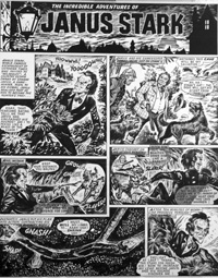 Francisco Solano Lpez biography