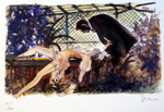 Click 13 (Limited Edition Print)