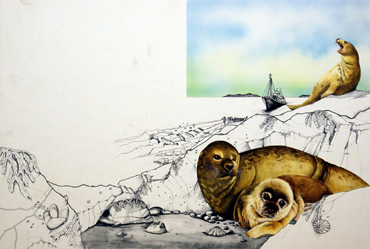 Seals - The Season of Slaughter (Original) by Susan Neale at The Illustration Art Gallery