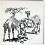 Camel Shoes (Original)