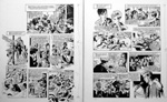 Nick Heyward / Haircut 100 (TWO pages) (Original)
