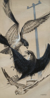 Peregrine Falcon and Kestrel (Original) (Signed)