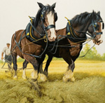 Heavy Horses (Original)