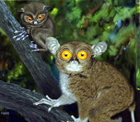 David Nockels biography