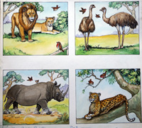 Harry Pettit biography