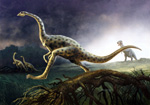 Struthiomimus (Original) (Signed)