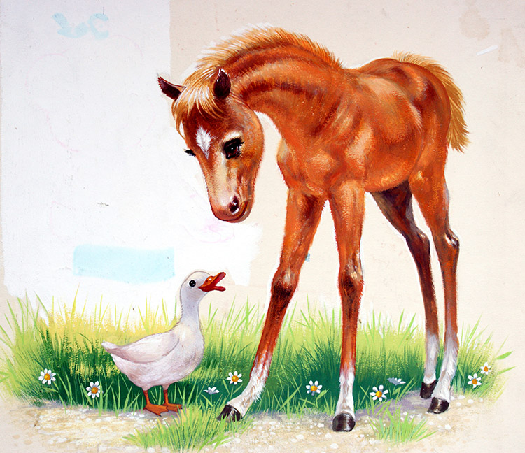 The Best of Friends - Foal and Duckling (Original) by Nursery (William Francis Phillipps) at The Illustration Art Gallery