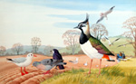 Birds in the Country (Original) (Signed)