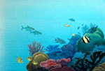 Coral under the Sea (Original)