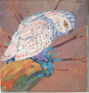 Snowy Owl at Sunset (Original)