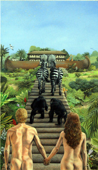 Glenn Steward biography