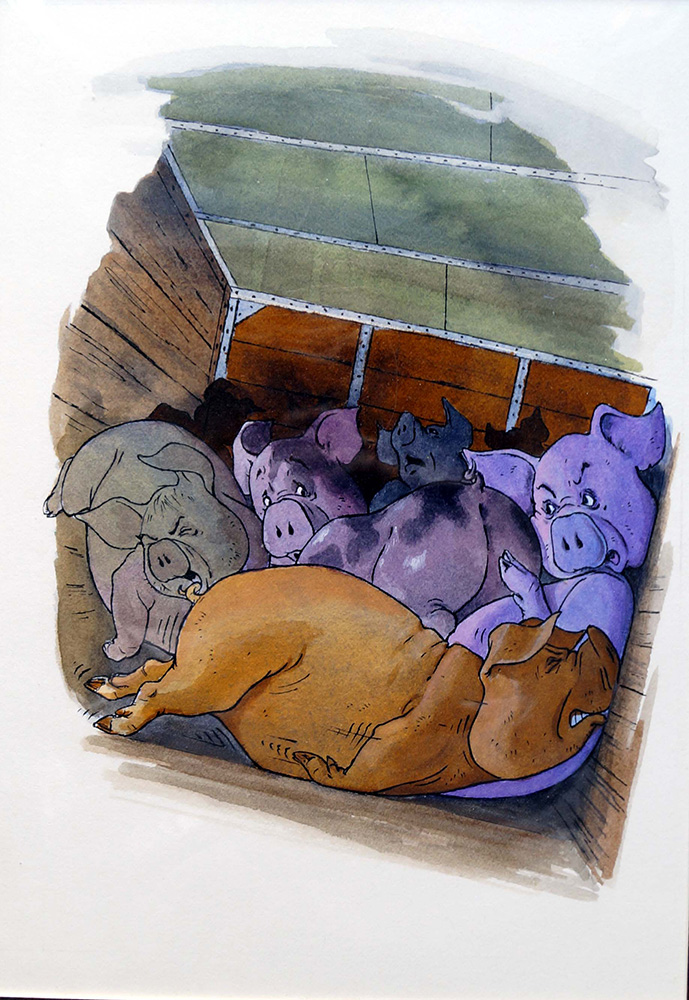 Pigs (Original) art by Glenn Steward Art at The Illustration Art Gallery