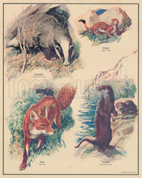 Flesh-Eating Animals (Original Macmillan Poster) (Print)