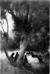 Midnight Grove (Limited Edition Print) (Signed)