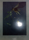 The Light (Limited Edition Print) (Signed)