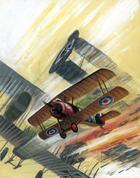 Alan Willow biography