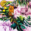 Nature's Medicine Chest - Castor Oil and Oil of Cloves (Original) (Signed)