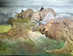 Triceratops (Limited Edition)